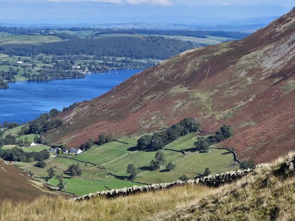 martindale 1