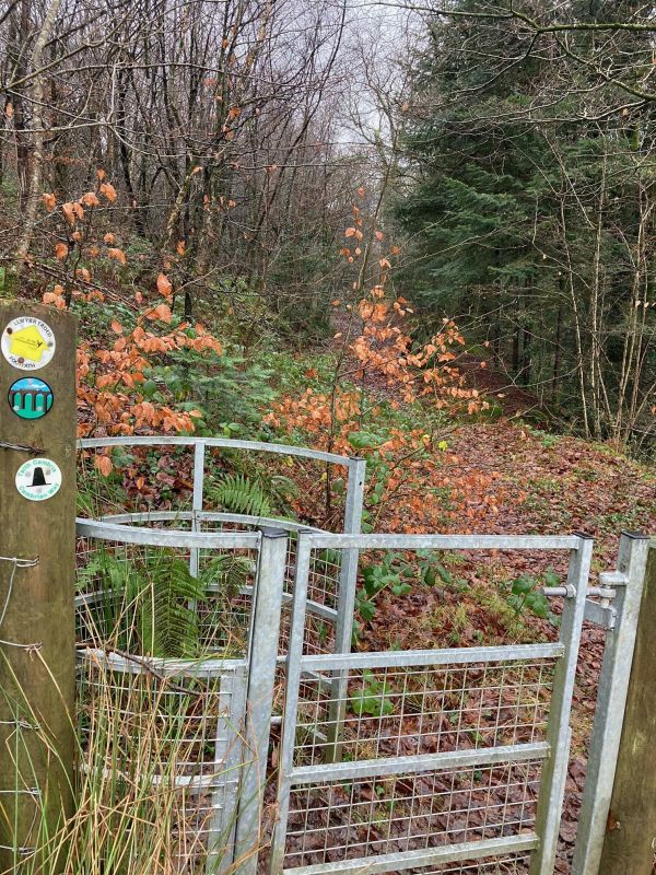 gate to woodland