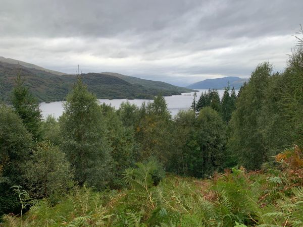 Loch Katrine seen through autumnal foliage