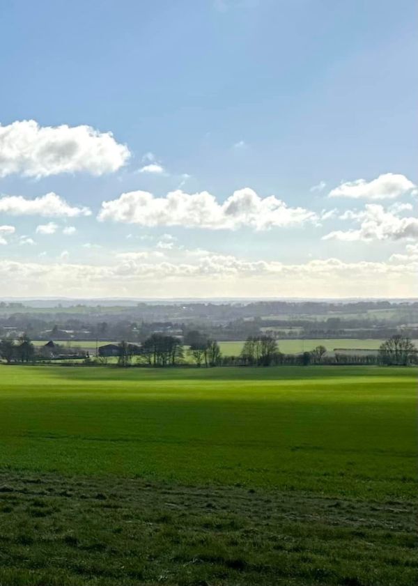 Wide view