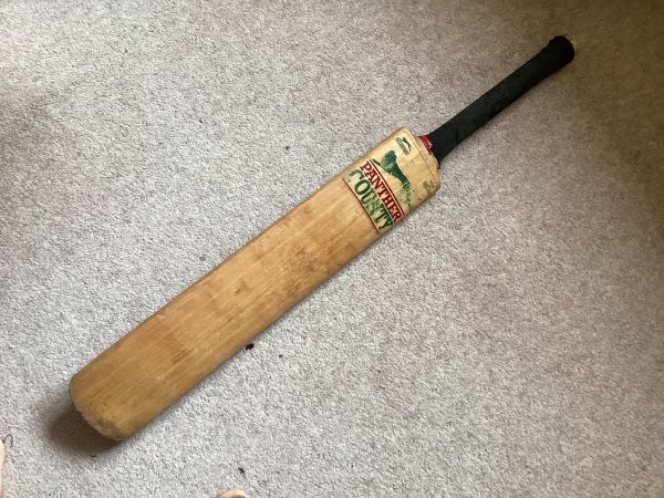 My old cricket bat