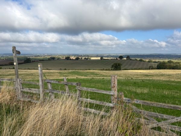 View 2