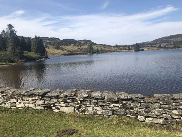Looking over Loch Ordie from LochordieLodge