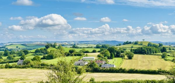 Timsbury countryside