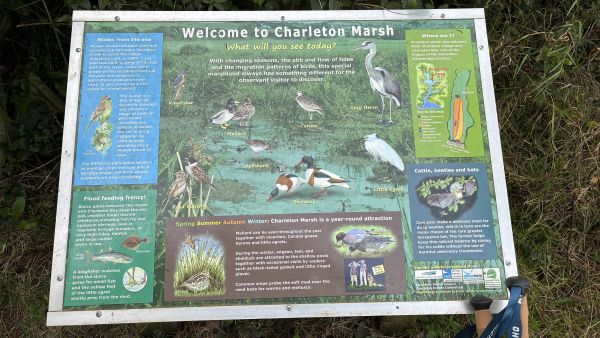 charleton marsh interpretation board