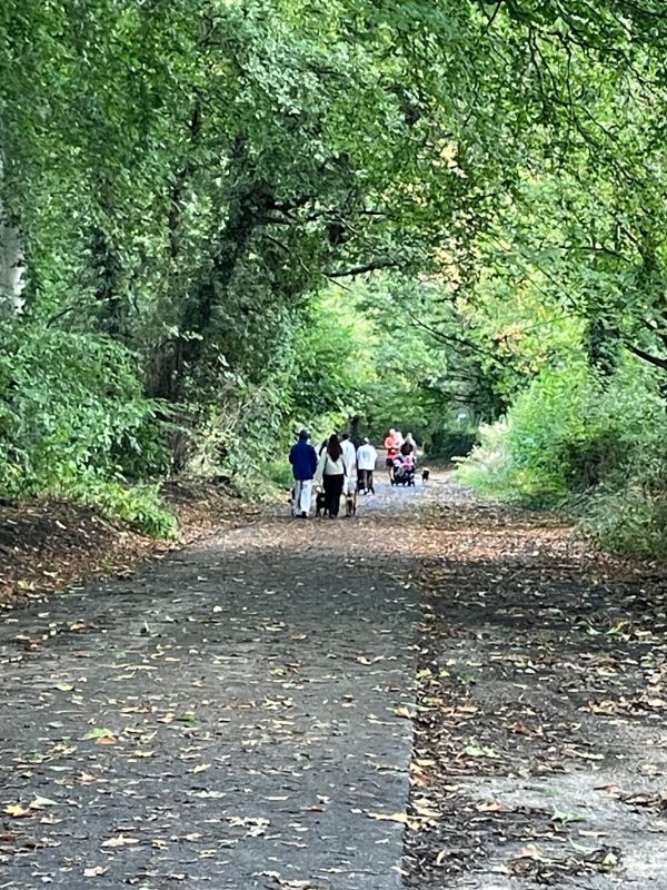 Park footpath