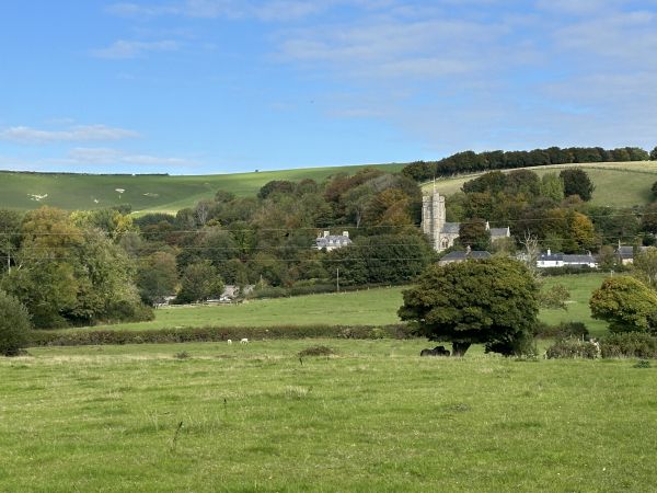 Litton Cheney 