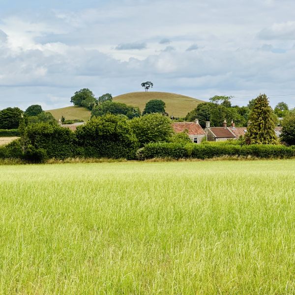 Timsbury views