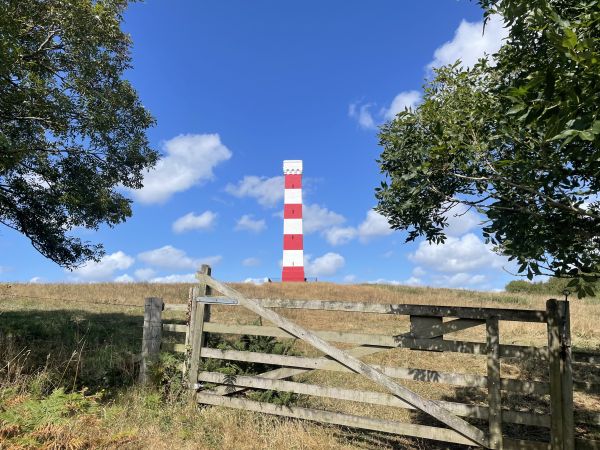 Gribbin Head