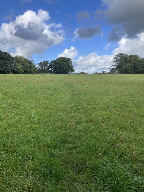 Field
