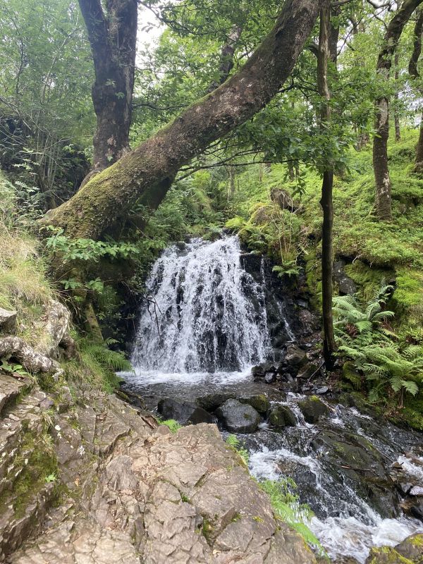 waterfall at Tarn Hows