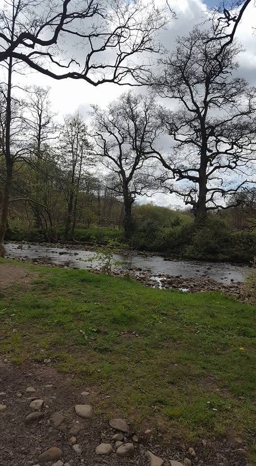 Tarnbrook Circular