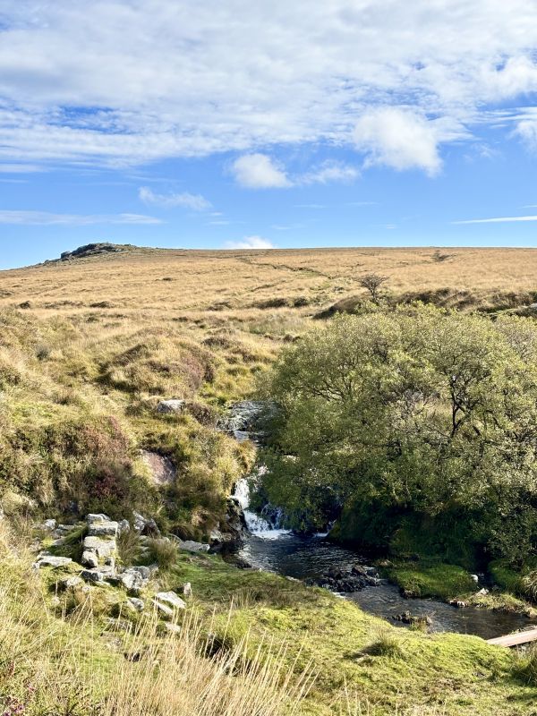Black Tor Falls