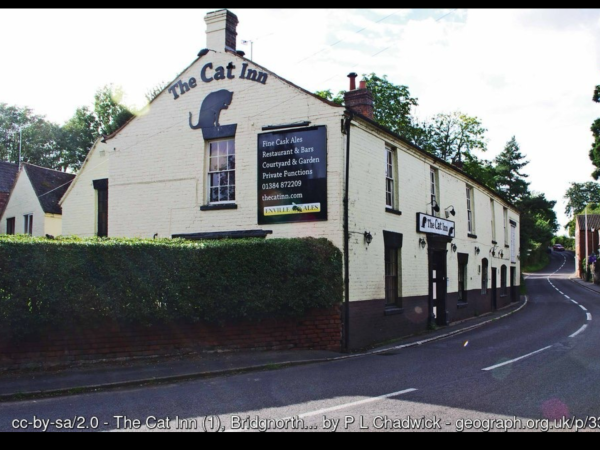 Cat Inn