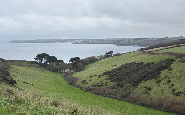 Fields and coast near Veryan