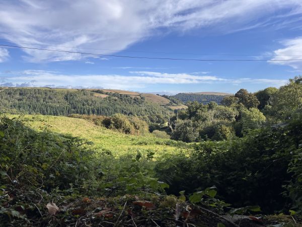View towards Dittisham