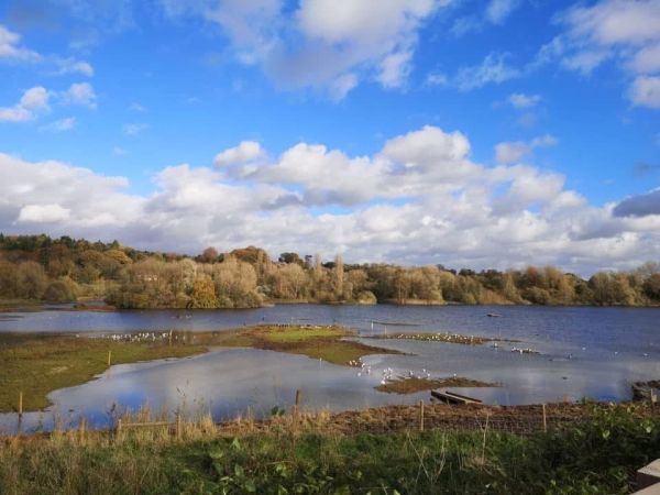 Amwell Nature Reserve 