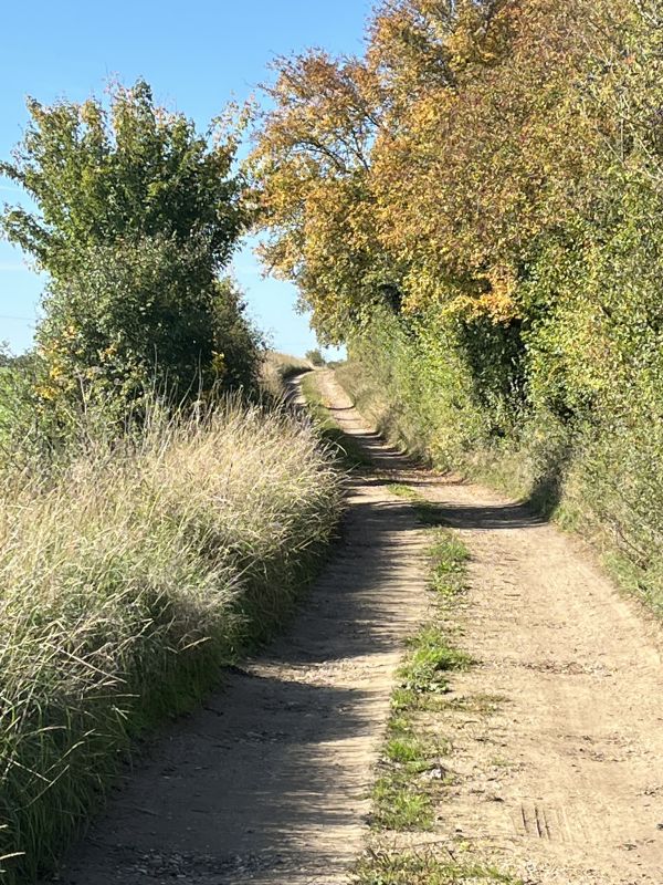 TowardsTannis Court