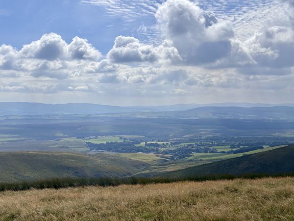 View from Green Law