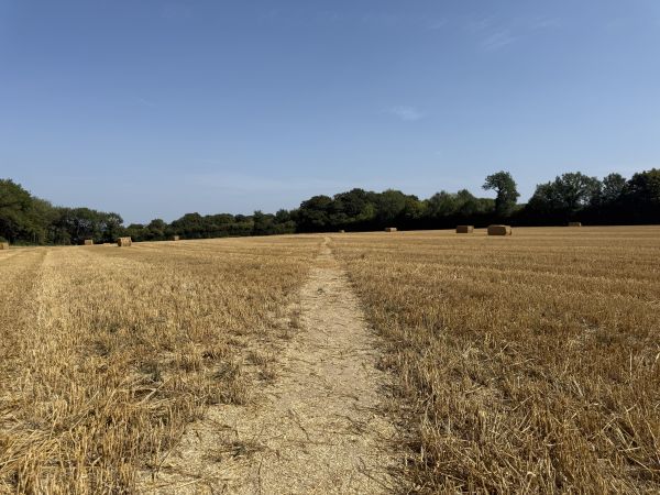 Open farmland