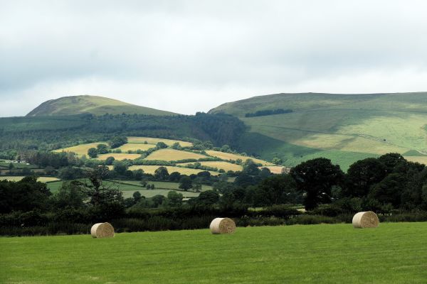 New Radnor