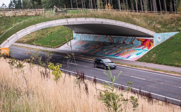 The Green Bridge (for animals & walkers) across the New Kingsway north of Scone