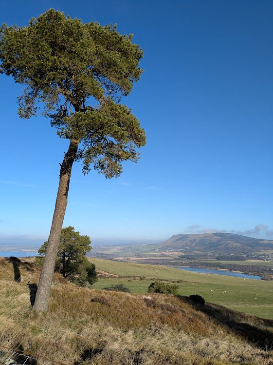View north over Bishop Hill from Benarty Hill