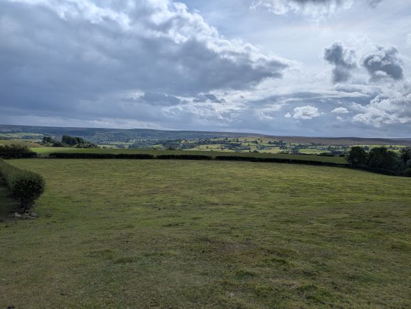 view