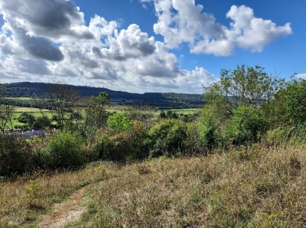 View across the Gordano Valley 
