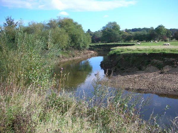 View of the River Ely