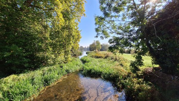 View of River Chess by Latimer