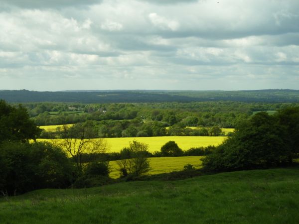 countryside