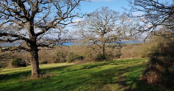 Epping Forest, Greater London