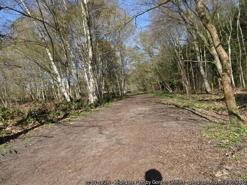 Highgate Common Path, copyright Gordon Griffiths, used under Creative Commons licence v2.0.