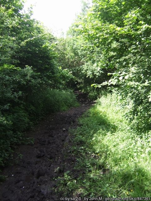 Cadman's Lane, copyright John M, used under Creative Commons licence v2.0.