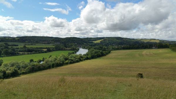 Views of the Thames nearby