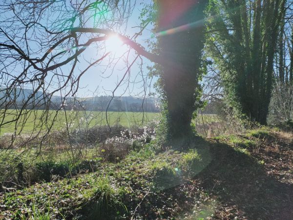 West Meon