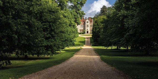 A wide path lined with tall trees leading up to a grand house
