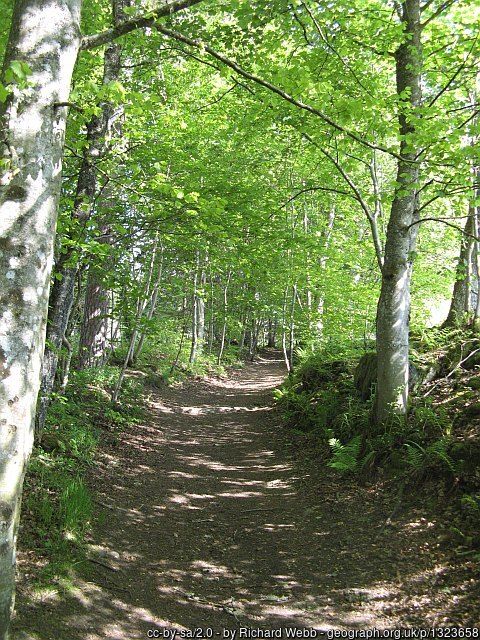 the path from Moulin to the Bealach na Searmoin