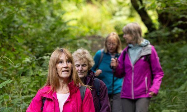 Walkers heading down a woodland path