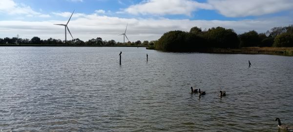 Penyfan Pond