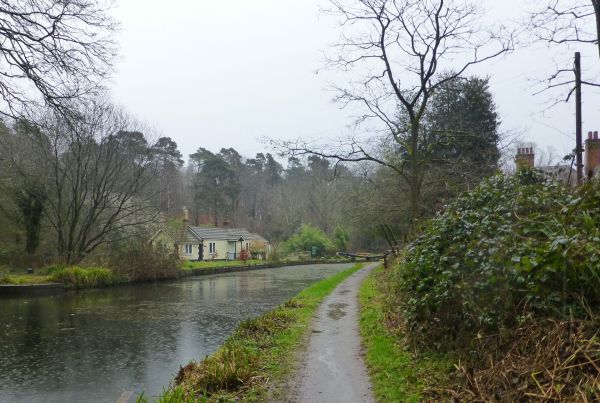 Basingstoke Canal 