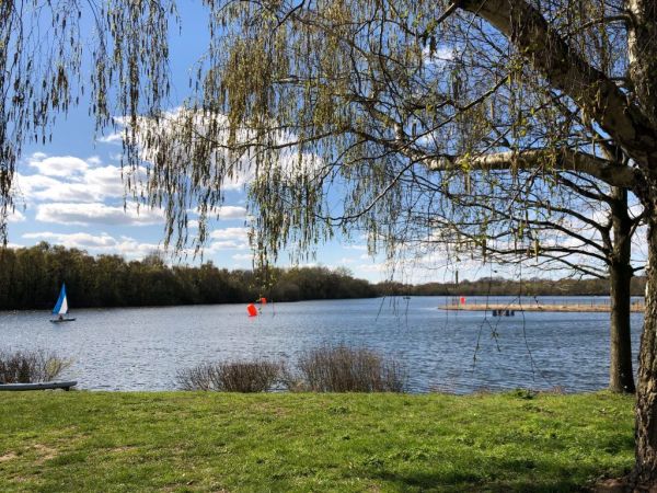 Horseshoe Lake 