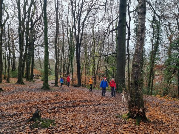 Ramblers walking through the Gnoll woods