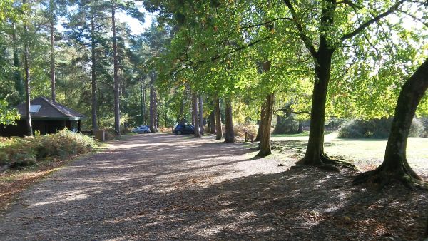 Anderwood Inclosure car park