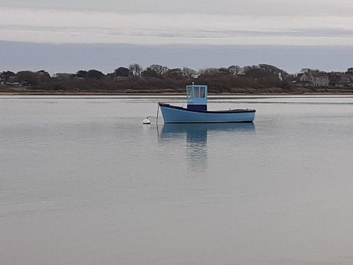 a tranquil scene
