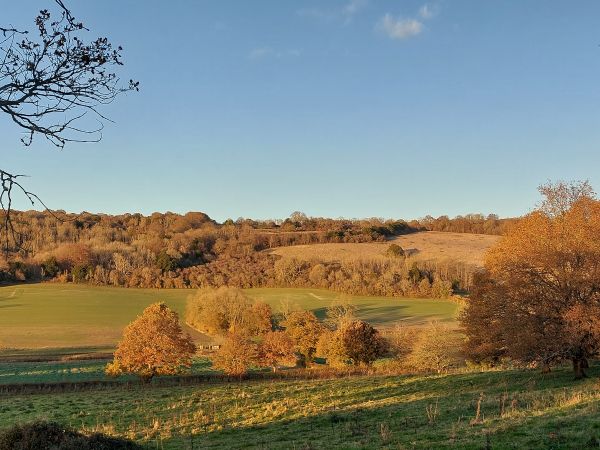 Autumn view