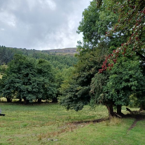 Walk to Craig y Ciliau, Llangattock