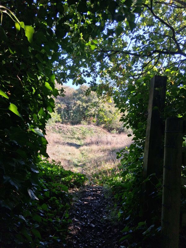 Gateway to a reclaimed path