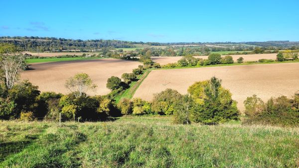 View towards East Marden
